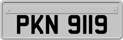PKN9119