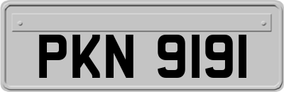 PKN9191