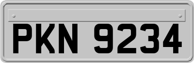 PKN9234
