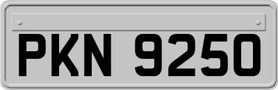 PKN9250
