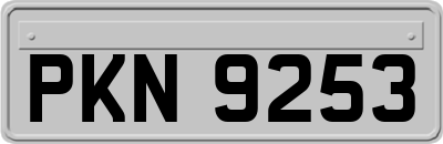 PKN9253
