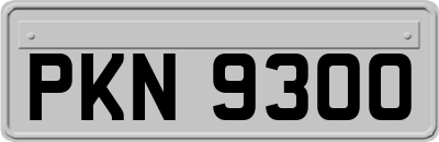 PKN9300