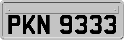 PKN9333