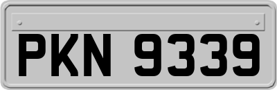 PKN9339