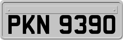 PKN9390