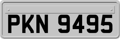 PKN9495