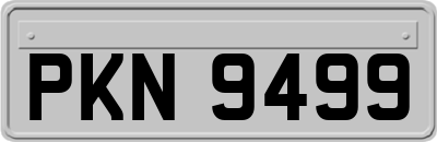 PKN9499