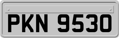 PKN9530