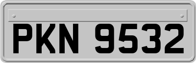 PKN9532