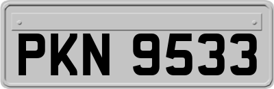 PKN9533