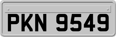 PKN9549