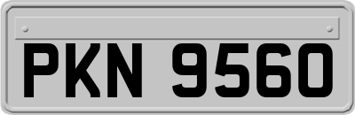 PKN9560