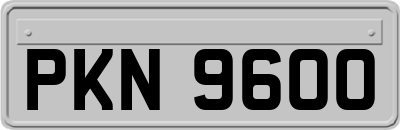 PKN9600