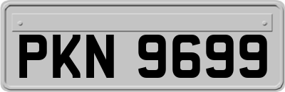 PKN9699