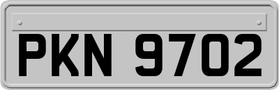 PKN9702