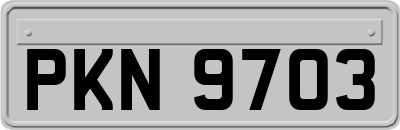 PKN9703