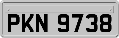 PKN9738