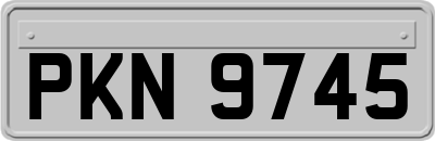 PKN9745