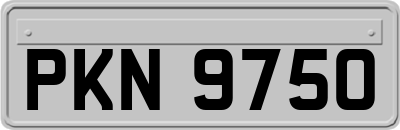 PKN9750