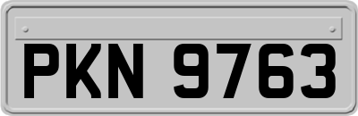 PKN9763