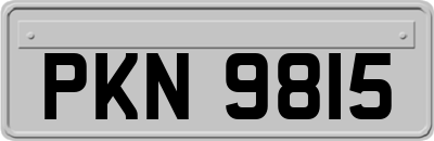 PKN9815