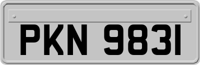 PKN9831