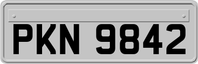 PKN9842