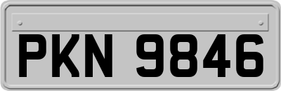 PKN9846