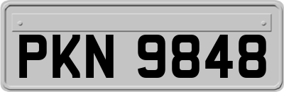 PKN9848
