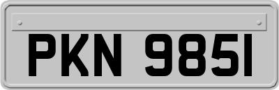 PKN9851