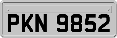 PKN9852