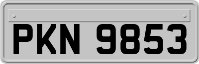 PKN9853