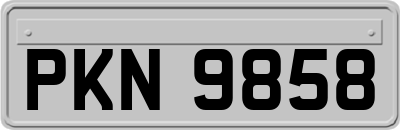 PKN9858