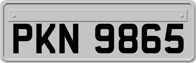 PKN9865