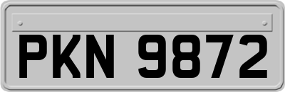 PKN9872