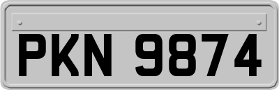 PKN9874