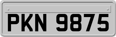PKN9875