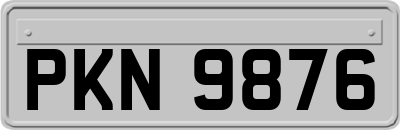 PKN9876