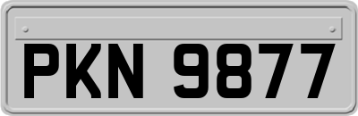 PKN9877