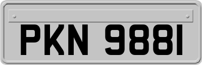 PKN9881