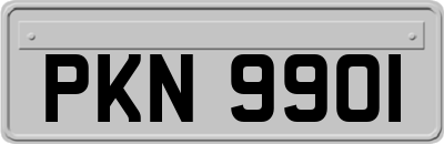 PKN9901
