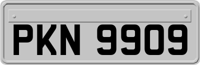 PKN9909