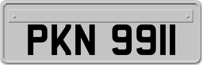 PKN9911