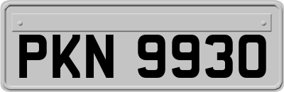 PKN9930
