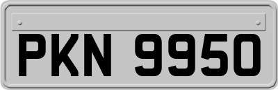 PKN9950
