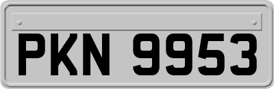 PKN9953