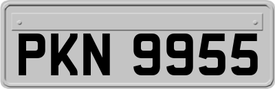PKN9955
