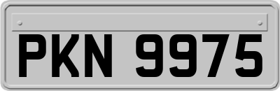 PKN9975