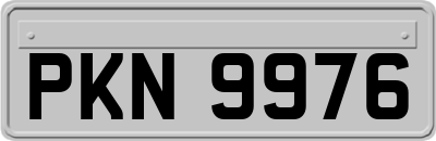 PKN9976