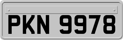 PKN9978